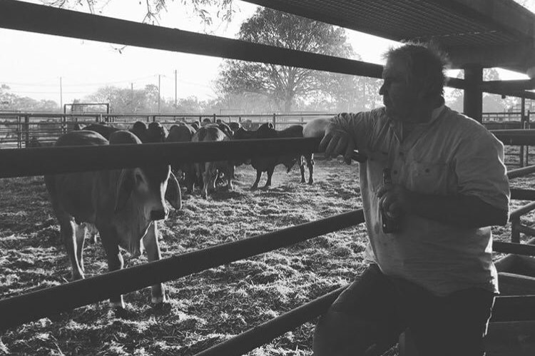 Man leaning on fence looking at cattle