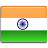 India flag icon