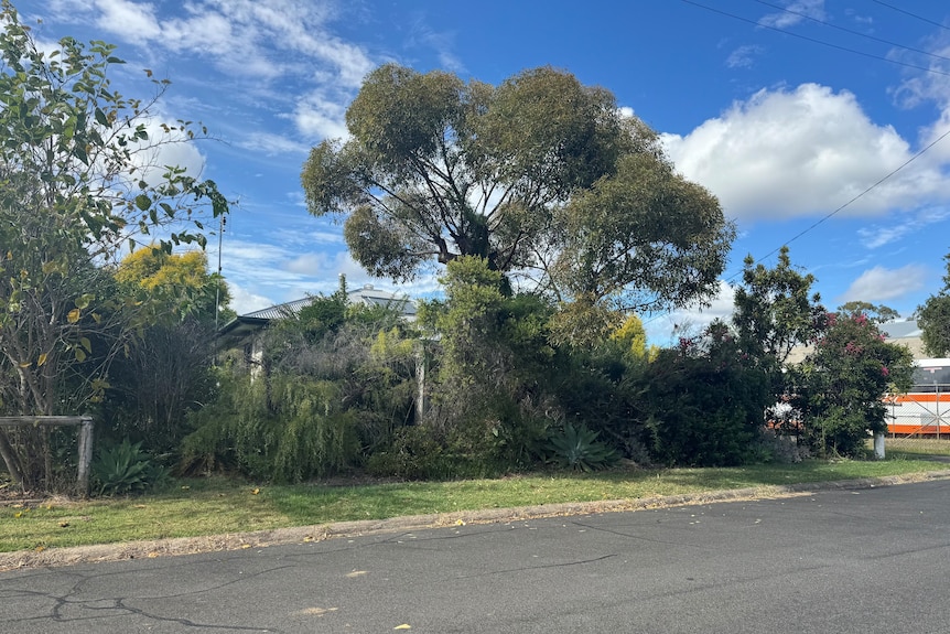 A house with an overgrown garden.