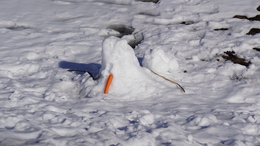 A snowman melting