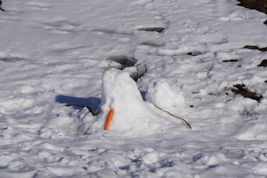 A snowman melting