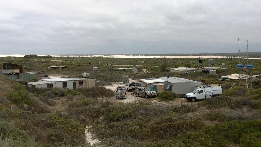 Beach shacks at Wedge Island