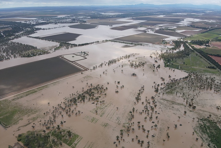 Floods accumulate over crop plains.
