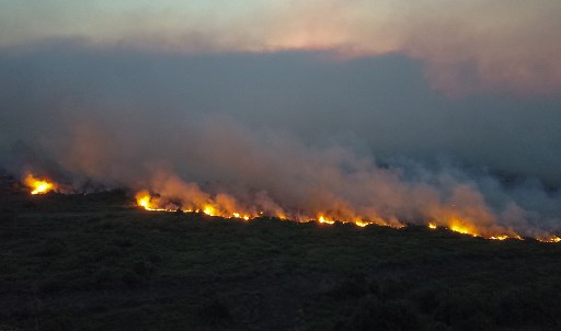 Brazil's Tropical Pantanal Wetlands, The World's Largest, Are Burning ...