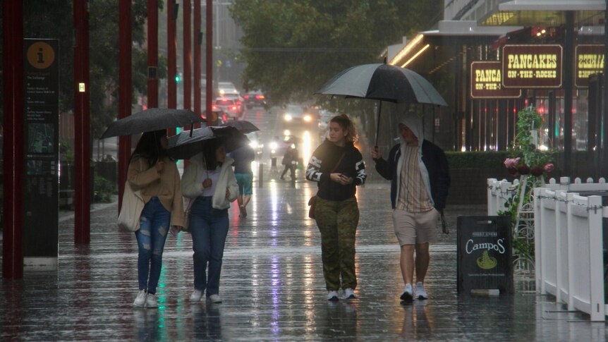 Four people walk on a wet street holding umbrellas.