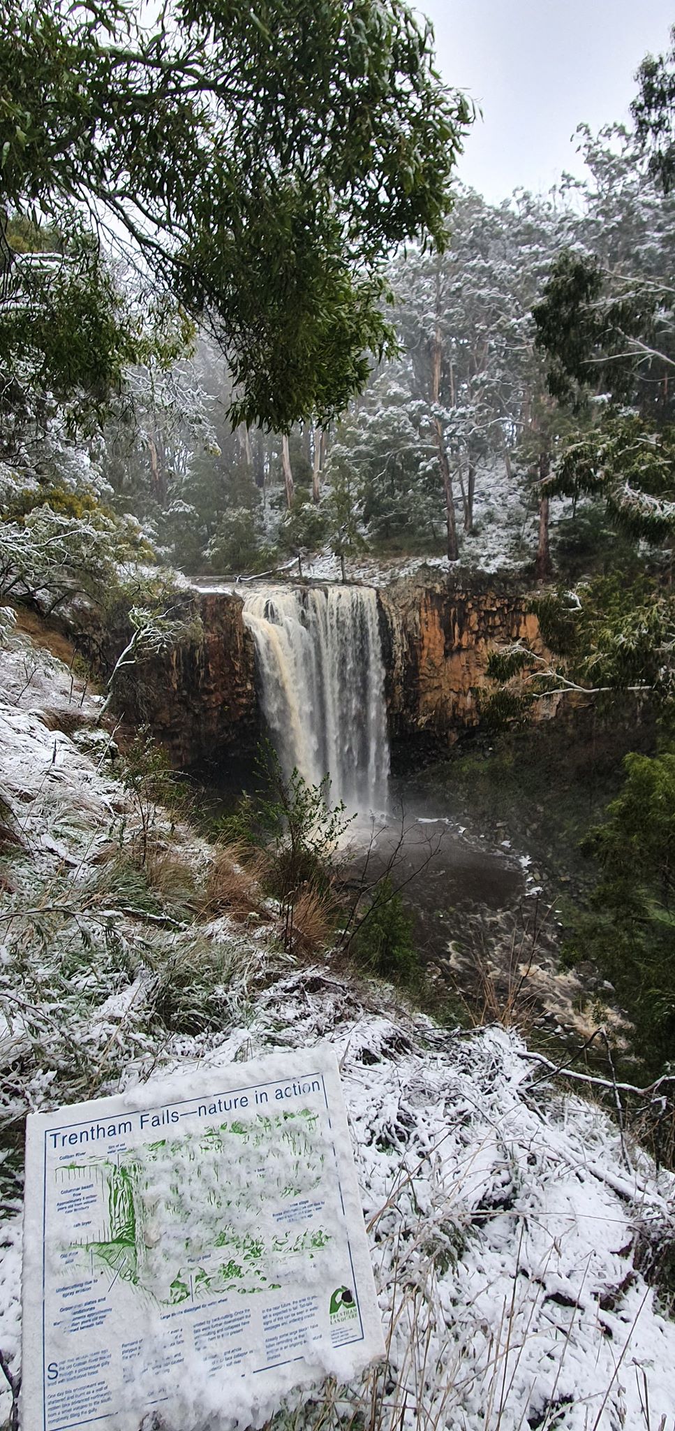 Victoria Cold Weather Blankets Towns In Snow Forces Closures On Treacherous Roads Abc News