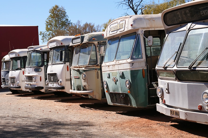 A row of old buses in a yard on a sunny day