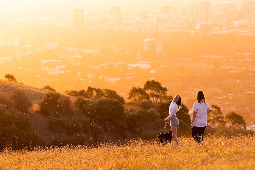 A girl smiles at her female friend while walking a dog basked in sunset light on a hill overlooking a city.