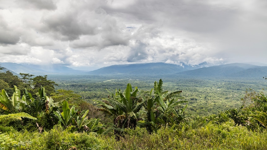 A view of mountains under clouds, with bananas trees and other green vegetation in front.