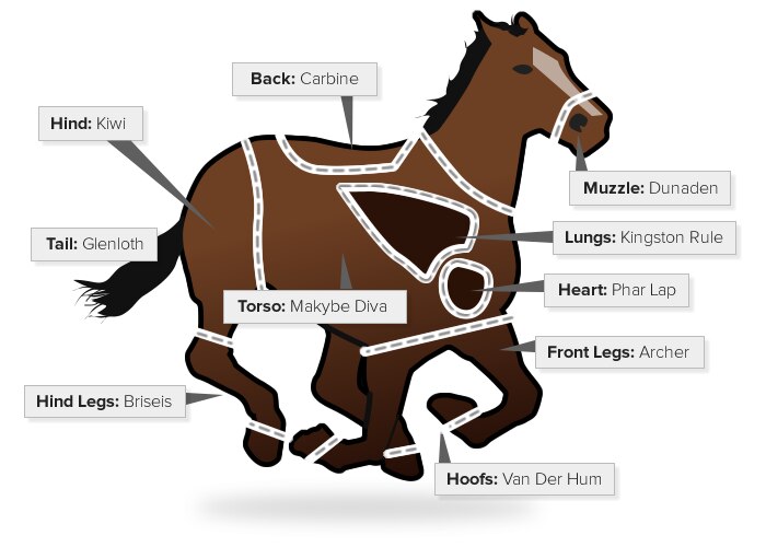 Graphic of a cartoon horse