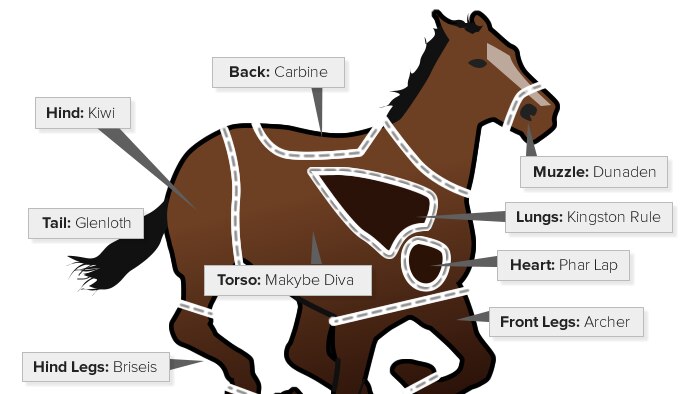 Frankenhorse is made up of key parts of some of the all-time Melbourne Cup legends.