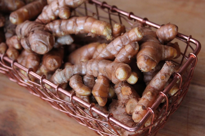 Fresh turmeric in a copper basket