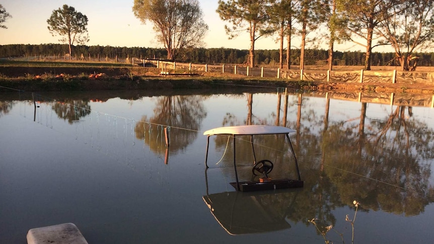 A golf buggy floating in a dam.