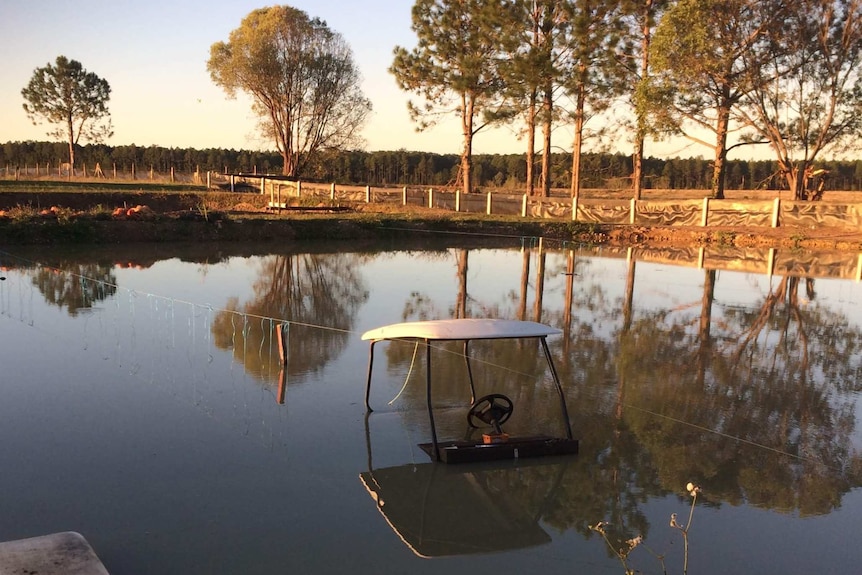 A golf buggy floating in a dam.