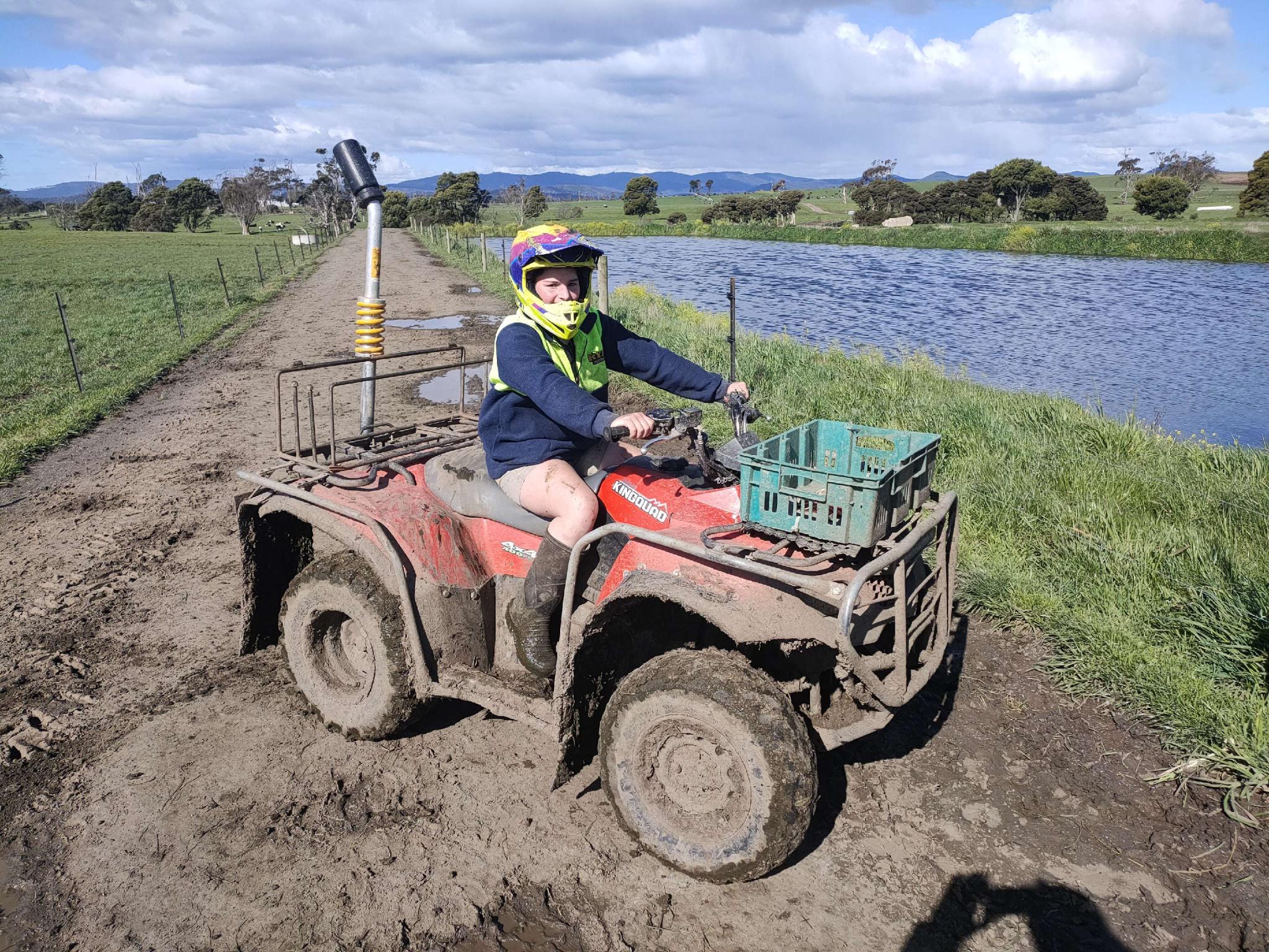 Quad Bike Roll Bars Now Mandatory On All New And Imported Second Hand Bikes Sold Abc News
