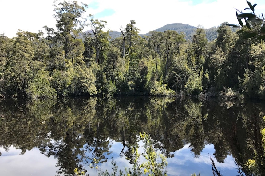 Duckhole Lake near Dover