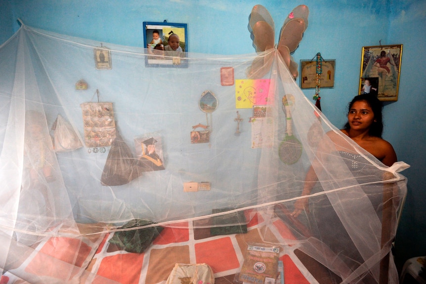 A pregnant woman standing next to a bed which has a mosquito net draped over it