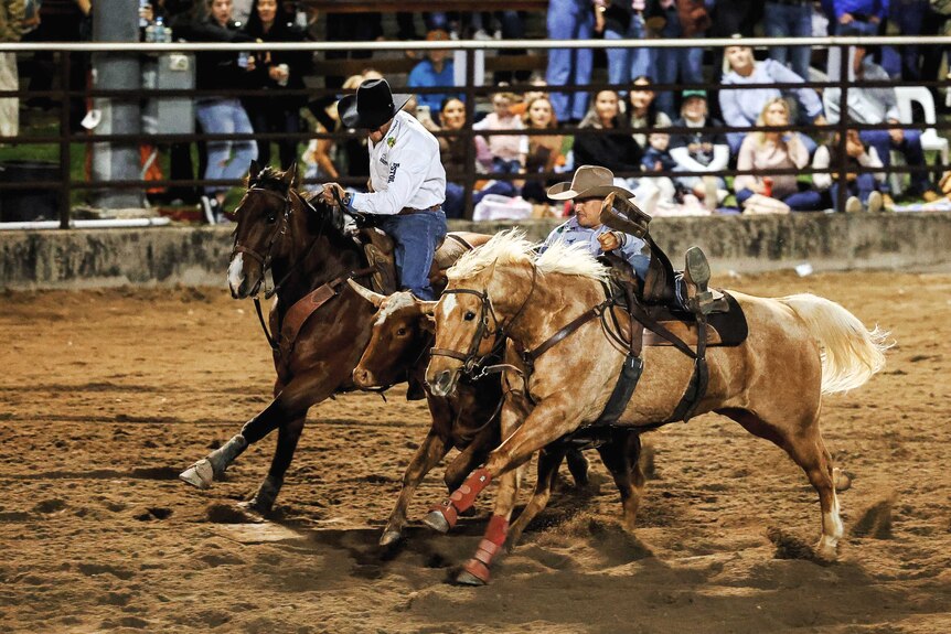 Two men riding horses and competing in a rodeo.