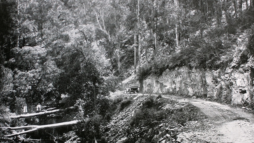 A photo from The Southeastern Gate of the Princes Highway between Eden and Orbostr in the 1920s