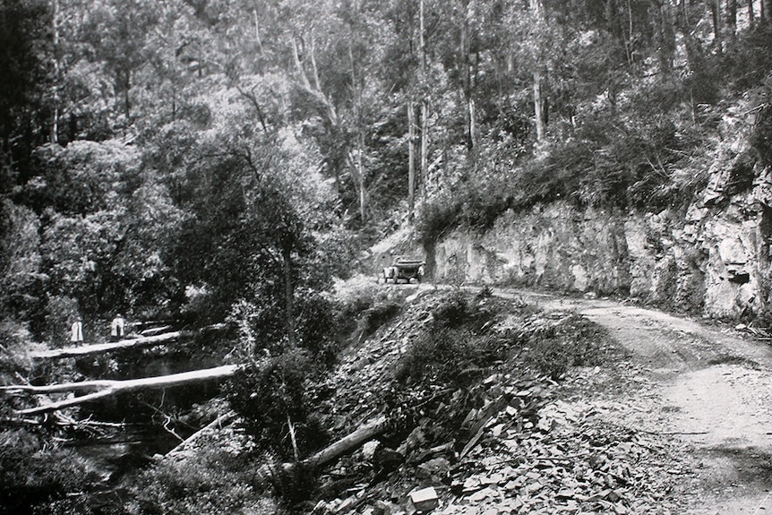 A photo from The Southeastern Gate of the Princes Highway between Eden and Orbostr in the 1920s