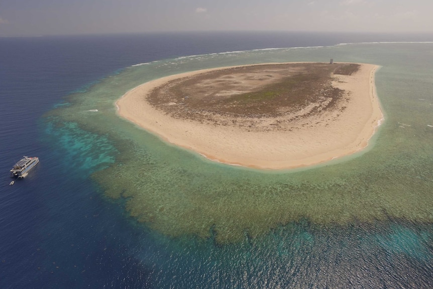 An aluminium catamaran rests at anchor off a large sand island on the Great Barrier Reef.