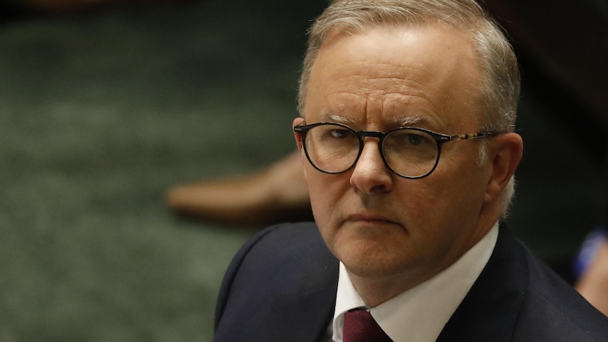 a close up image of Anthony Albanese wearing glasses and a suit in parliament