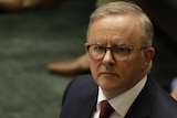 a close up image of Anthony Albanese wearing glasses and a suit in parliament