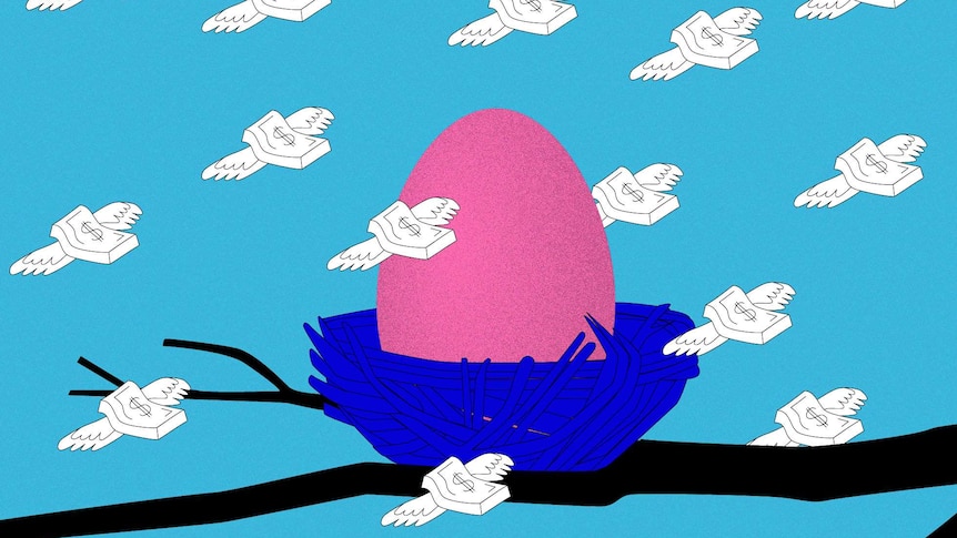 An illustration of a pink egg in a blue nest with flying money notes with dollar signs on them