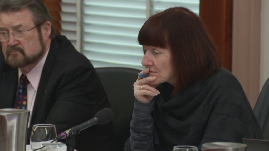 Chair of the Senate Inquiry Rachel Siewert listens to evidence.