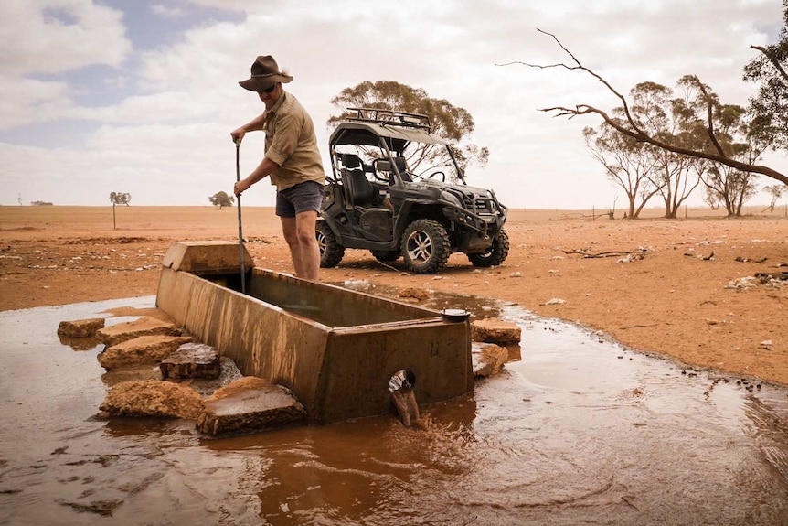 A farmer in a drought-ravaged landscape.