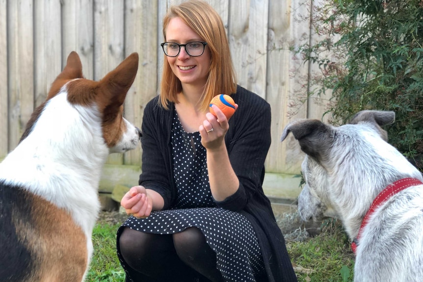 Kara Stuart with her two dogs Benji (left) and Bonnie (right) looking at a ball in her hand.
