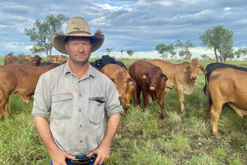 A man in a workshirt and large hat standing looking sombre in front of a paddock of cows