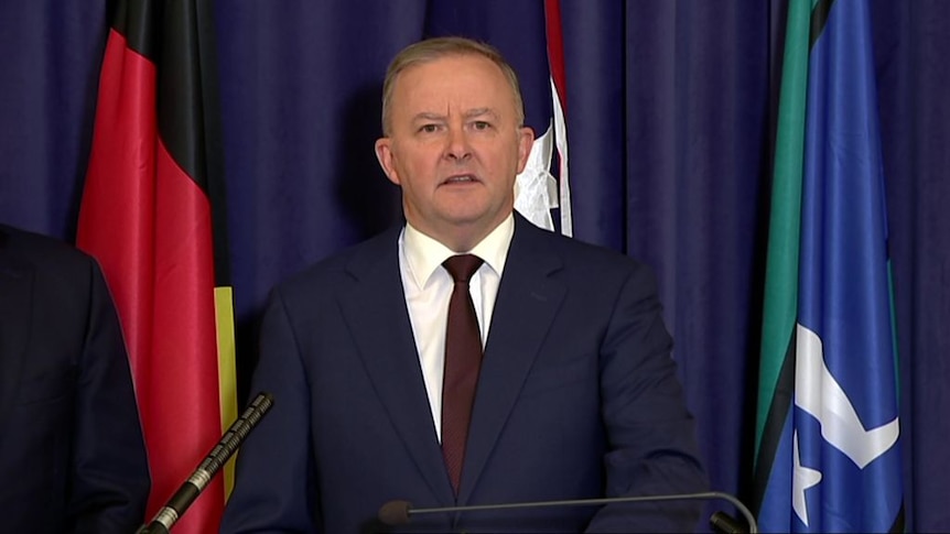 Albanese says COVID-19 exposed flaws in Australian society