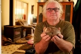 Christian Robertson of King Island has discovered a near-intact egg of the extinct King Island emu. 