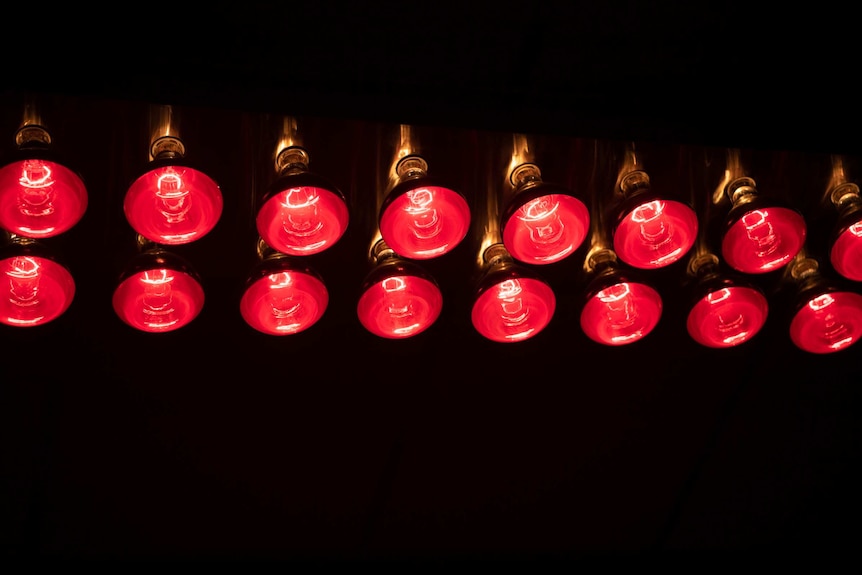 Heat lamps glow red.