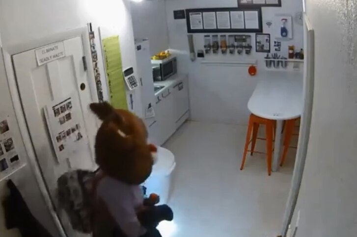 A person wearing a giant reindeer head stands in the kitchenette of a business. The still is taken from a CCTV camera up high