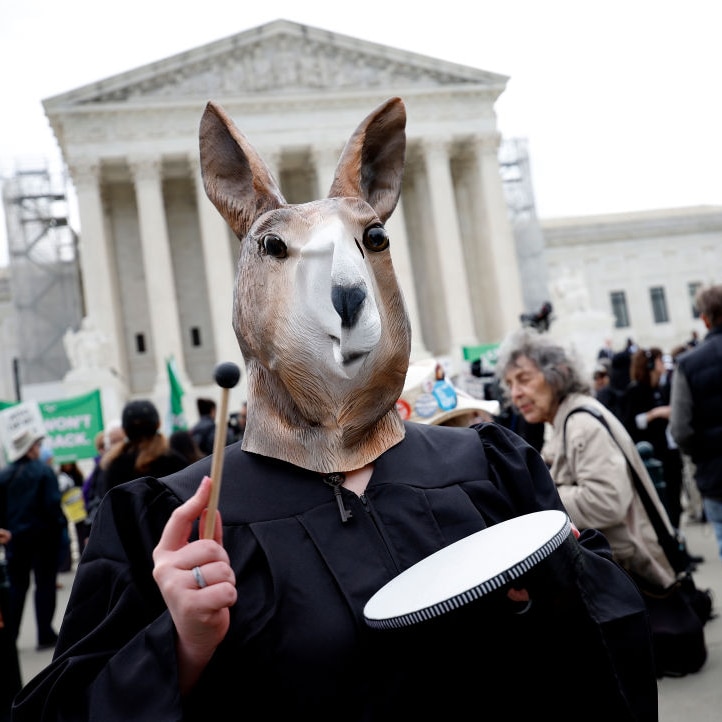A protester with donkey mask hood