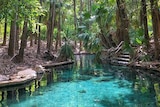Mataranka Thermal Pools can be seen with blue water and steps leading into it.