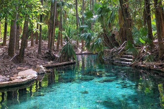 Mataranka Thermal Pools can be seen with blue water and steps leading into it.