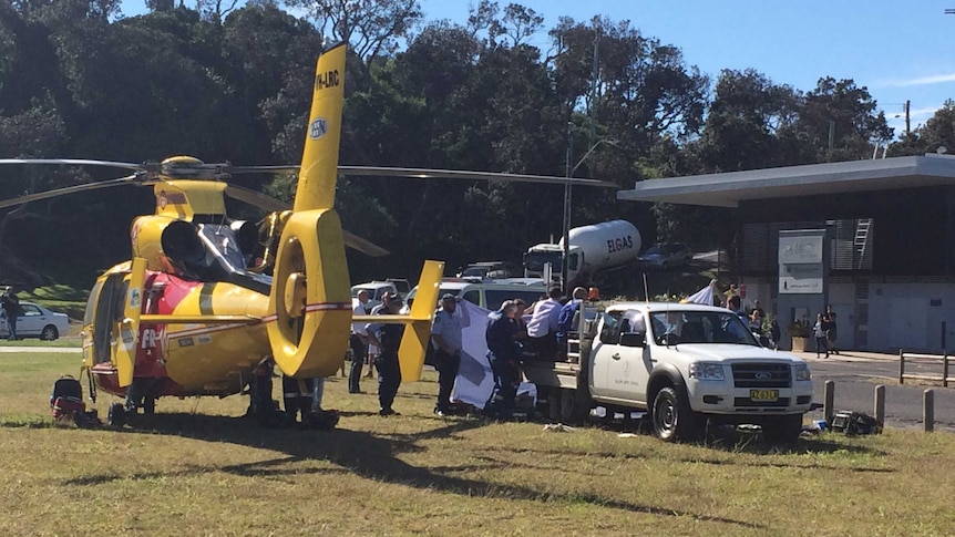 shark attack scene at Ballina