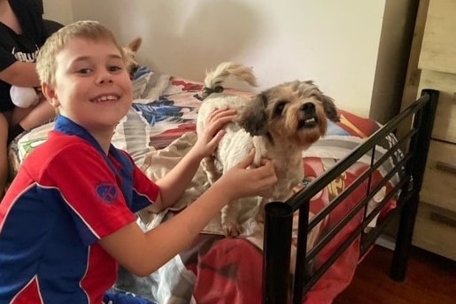 A boy and his dog on a bed.