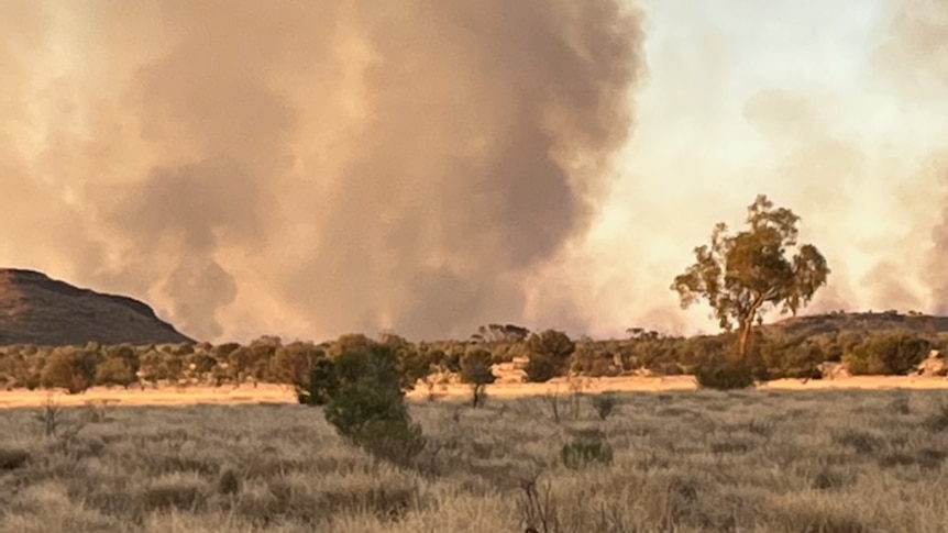A fire in bushland with brown smoke rising from it