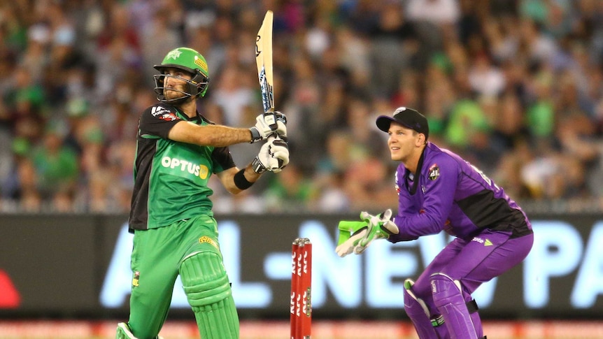 Big hitter ... Glenn Maxwell (L) helps guide the Stars to victory, as Tim Paine looks on