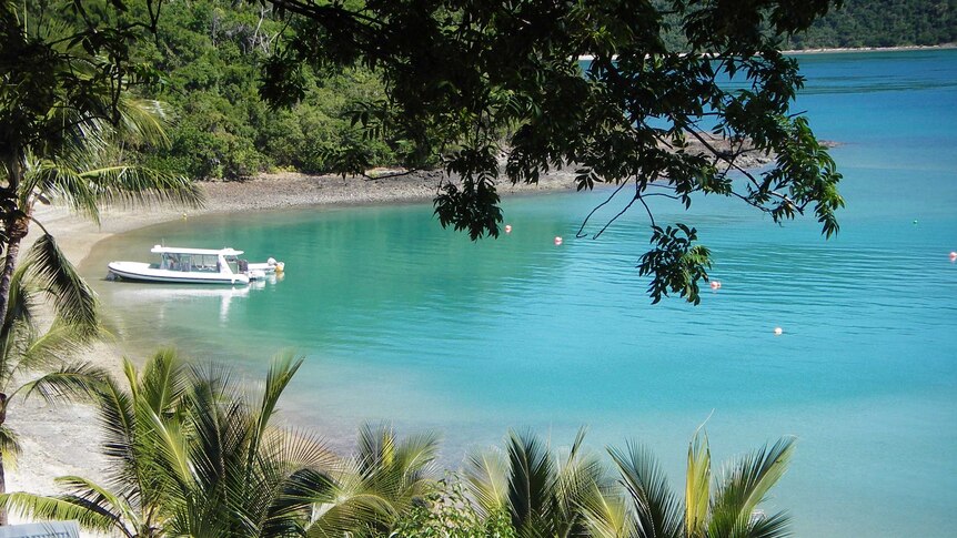 A boat is moored in a calm bay, framed by lush greenery.