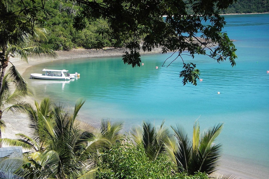 A boat is moored in a calm bay, framed by lush greenery.