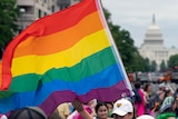 a rainbow flag in an rally to support LGBTQIA community