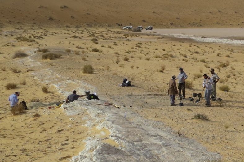 A group of people stand at the bottom of a large sand dune in the desert digging with spades