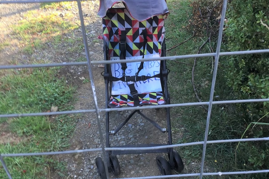 A child's pram seen through a wire fence, with a sign as a homophobic slur.