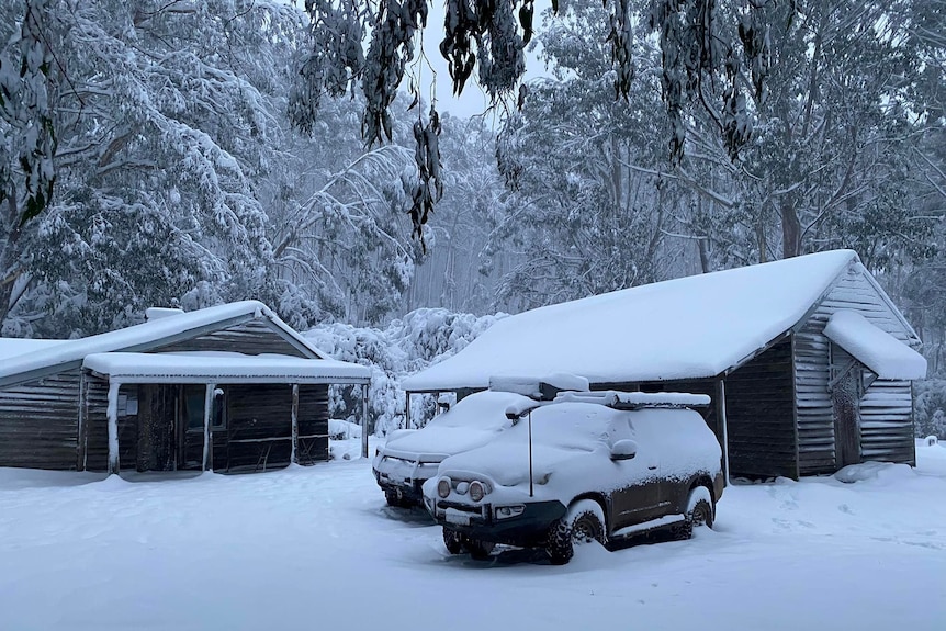 Two cars and two huts in the bush are covered in a thick layer of snow.