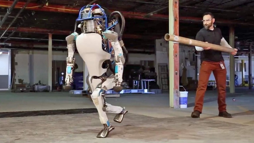 The Atlas robot is pushed over by a Boston Dynamics employee with a metal pipe